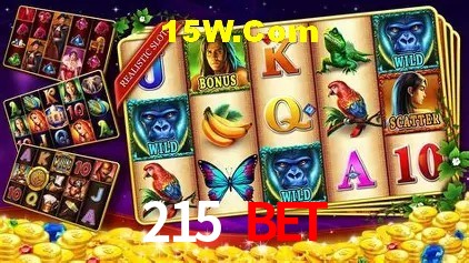 Jogos com bônus e suporte 24h na 215 Bet